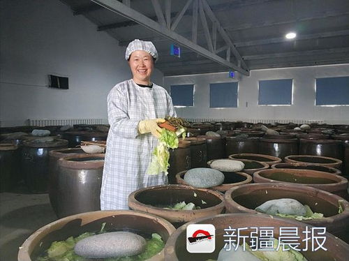 新疆沙灣農(nóng)家女 一壇咸菜帶火大盤雞，悄然走俏周邊城市
